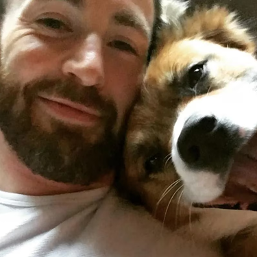 Los nombres de los perros de los famosos 