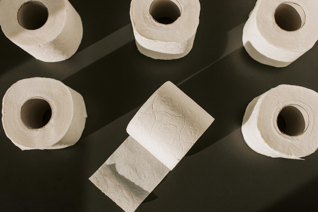 La genial idea para no tener que tirar nunca más los rollos de cartón del papel higiénico o de cocina 