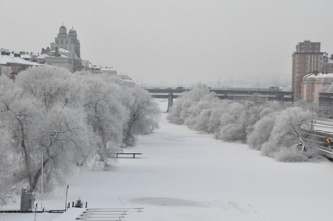 Estocolmo Nieve