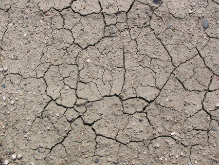 Si no se frena el cambio climático, 2035 podría ser un punto de no retorno