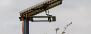 Eles resolveram o maior problema dos painéis solares: fizeram isso observando as árvores 