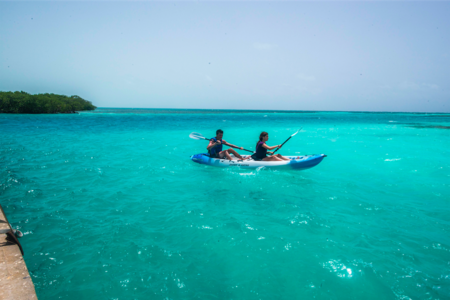 Belice