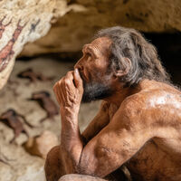 Estudo mostra que crescimento dos neandertais era diferente do nosso: corpo primeiro, cérebro depois