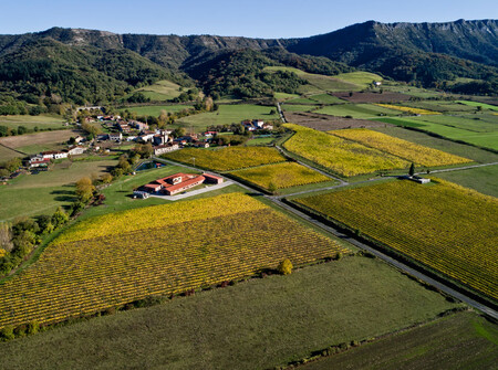 La Bodega Artomana Txakolina Rodeada De Sus Vinedos C Aiaraldea
