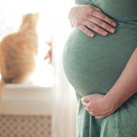 Toxoplasmosis: ¿Qué animales la contagian?