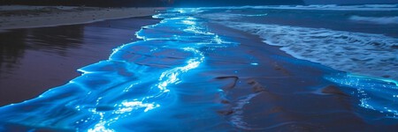 Mar Ardora Playas Bioluminiscentes