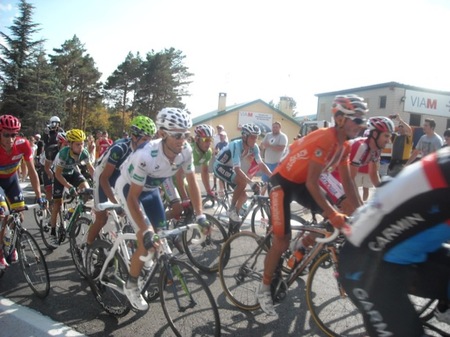 Contador Valverde Purito