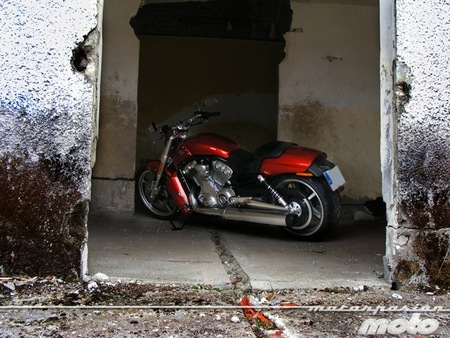 H-D V-Rod Muscle