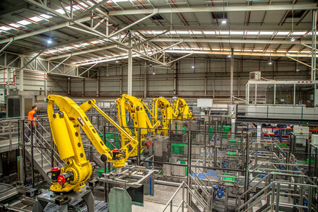 Robotizacion Logifruit