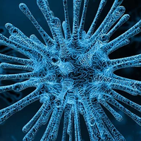 Así puede ser la China post-coronavirus