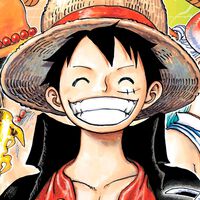 Aunque sea una serie de piratas, One Piece nunca ha tenido un personaje con el accesorio más característico de los bucaneros en la cultura popular 