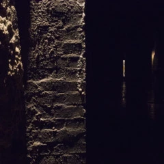 Foto 4 de 4 de la galería ejemplos-a-25600-iso en Xataka Foto