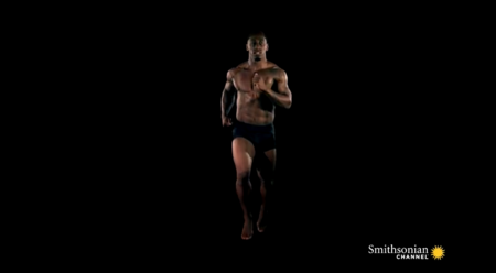 Homo Sapiens: cómo nuestro cuerpo se ha adaptado para hacernos mejores corredores