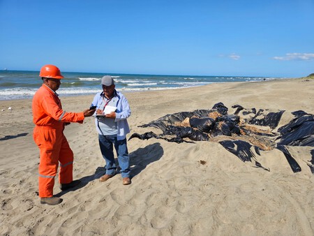 Autoridades Limpian Chapopote En Tabasco