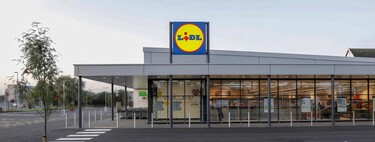 Este viernes, 24 de abril, llega a Lidl la sombrilla regulable ideal para disfrutar del exterior: añade privacidad por menos de 20 euros