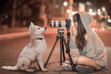 Cámara videovigilancia perros