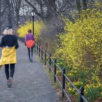 A ciência descobriu que existem 3 horários específicos do dia para caminhar e maximizar os benefícios da atividade física 