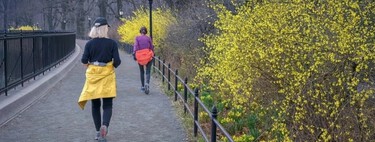 A ciência descobriu que existem 3 horários específicos do dia para caminhar e maximizar os benefícios da atividade física 