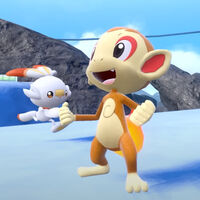 Pokémon Escarlata y Púrpura se preparan para acoger a algunos de los ejemplares más queridos. Todos los iniciales de la saga llegarán a Paldea muy pronto 