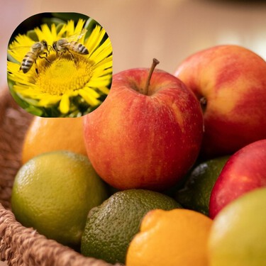 5 opciones caseras para alejar a las abejas sin lastimarlas: dile adiós al humo y al fuego 