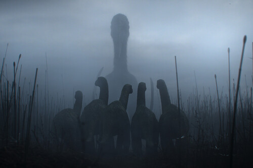 Estrenos (4 de marzo). 161 series, películas y documentales en Netflix, Prime Video, HBO Max, Disney+, Movistar Plus+, Filmin, SkyShowtime y Apple TV