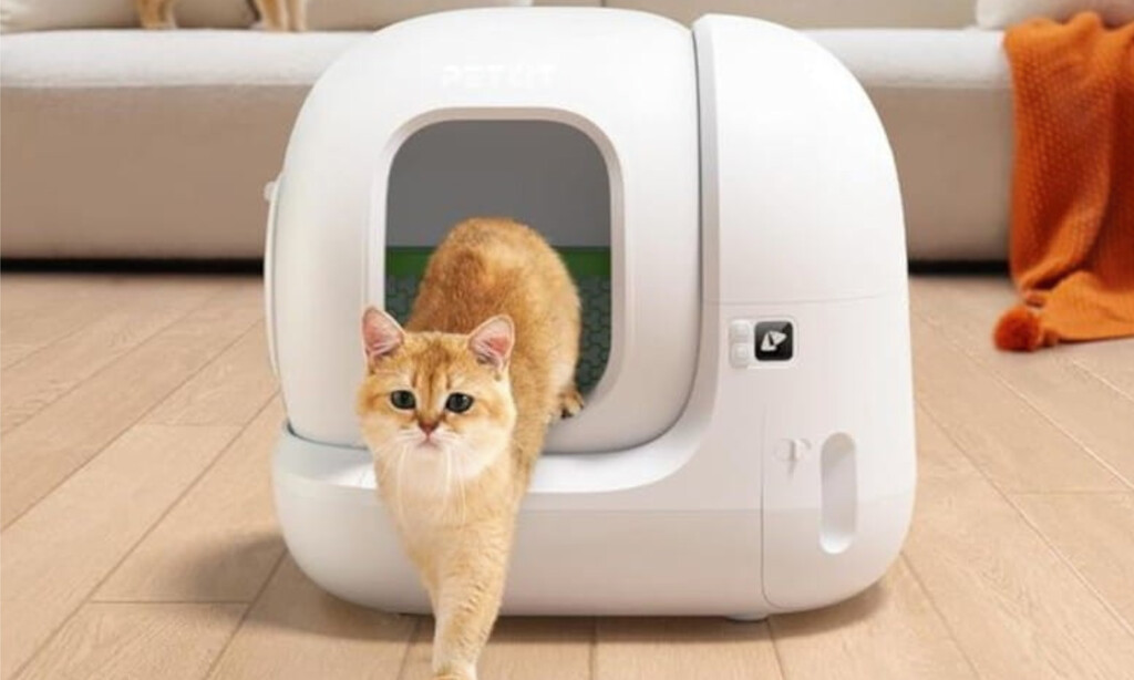 Este es el arenero que tu gato se merece: autolimpiable y ahora a precio imbatible 