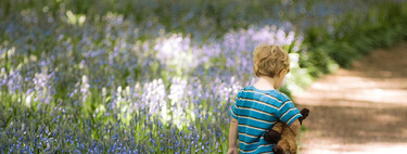 Por qué hacer creer a tu hijo que ya no le quieres es un castigo inadecuado: lo dejó solo para asustarle y lleva días desaparecido