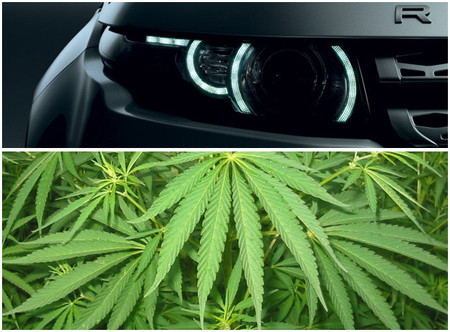 En Reino Unido roban faros LED para cultivar marihuana