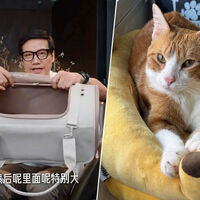 El último hitazo de Xiaomi que se ha agotado en minutos no es un móvil ni un coche. Es una bolsa para llevar al gato