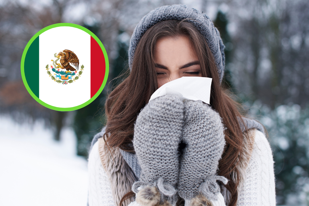 Frentes fríos 15 y 16 azotarán a México este fin de semana: estos estados sufrirán temperaturas de hasta -10 grados y posibles nevadas. Noticias en tiempo real