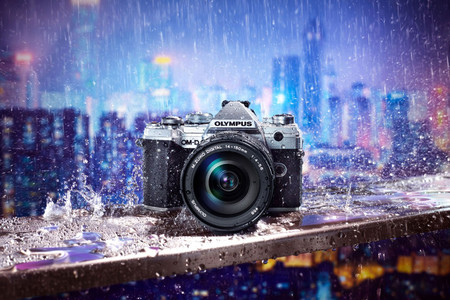Olympus OM-D E-M5 Mark II, Nikon D850, Canon EOS 2000D y más cámaras, objetivos y accesorios en oferta: Llega Cazando Gangas
