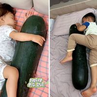 No calor extremo, chineses estão dormindo abraçados com melões gigantes: a técnica é usada há 650 anos porque a fruta tem 95% de água na composição 