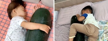 No calor extremo, chineses estão dormindo abraçados com melões gigantes: a técnica é usada há 650 anos porque a fruta tem 95% de água na composição 