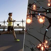 La ciencia ya sabe cuál es la mejor "gasolina" para crear nuevas neuronas: el ejercicio físico