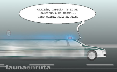 fauna en ruta - Guardia Civil