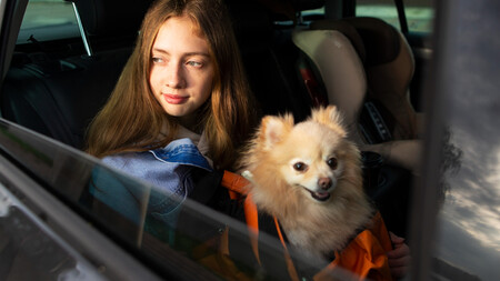 joven con perro en coche