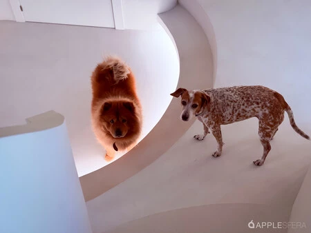 Estudio Apple Nikias Molina