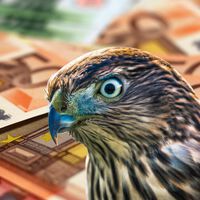 A partir de octubre de 2025, las transferencias bancarias viajarán a la velocidad de la luz: en sólo diez segundos los autónomos podrán enviar dinero con máxima seguridad.