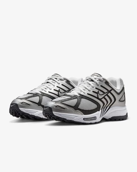 Nike Air Pegasus 2005