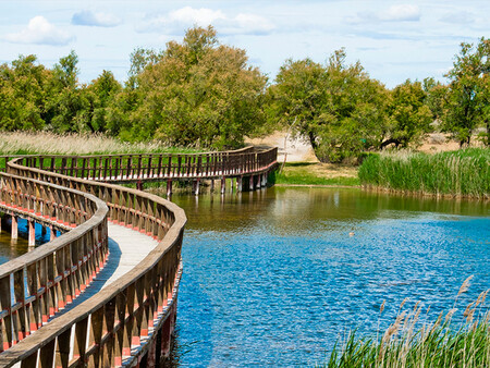 Tablas Daimiel Primavera