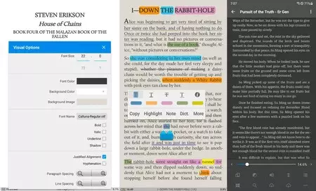 ムーンリーダー