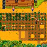 Los mejores cultivos para sembrar en otoño en Stardew Valley