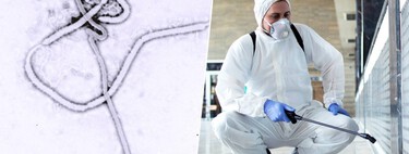 O Ebola desencadeia novamente uma emergência internacional: OMS alerta para um novo surto com uma cepa para a qual não existe vacina