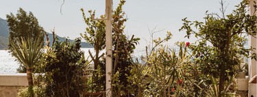 Si tu terraza está a pleno sol, estas son las plantas que mejor resisten el calor de julio y llenarán de color tu exterior hasta el otoño 