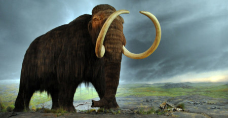 Este científico coreano quiere devolver a la vida al mamut