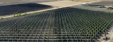 Los paneles solares de esta bodega italiana ahorran en energía, pero también mejoran en algo inesperado: la calidad del vino 