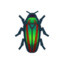 Jewel Beetle