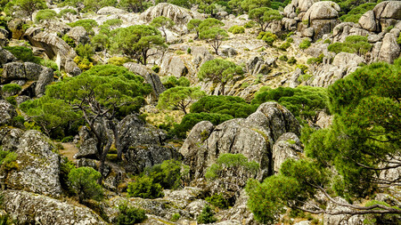 Ruta en coche: Parque Nacional de Monfragüe y Parque Natural de los Arribes del Duero