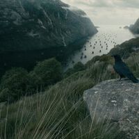 Seis temporadas de Vikings perpetuaron una mentira de Hollywood. No es así como deberían sonar los cuervos de la serie