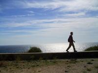 Actitud en el trabajo: inteligencia emocional